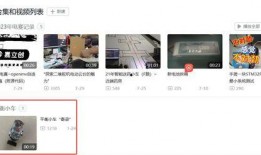 天涯爆料鹿鸣视频大全,鹿鸣视频大全背后的秘密与精彩瞬间